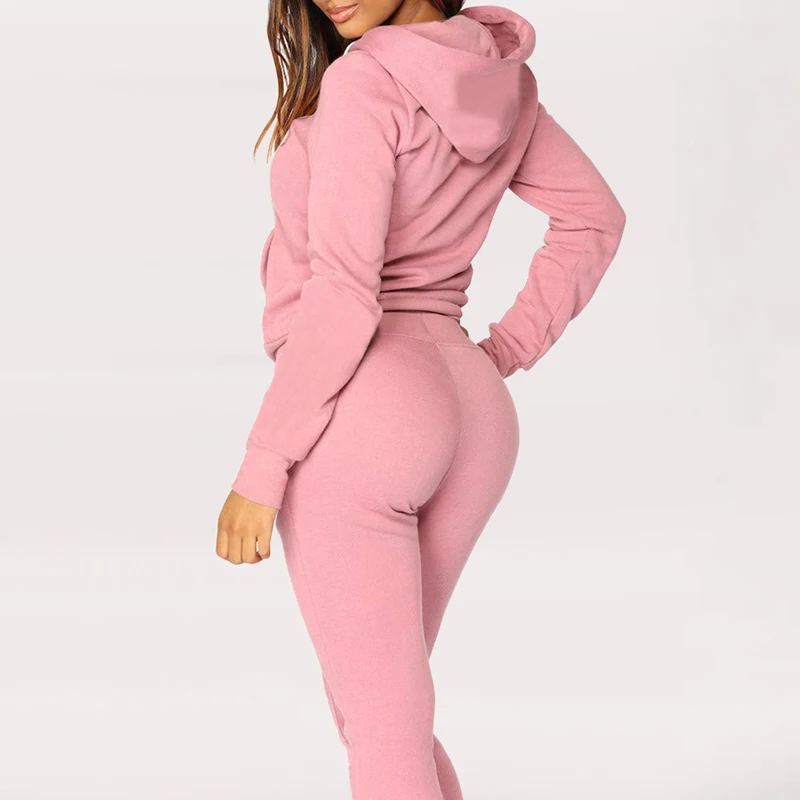 Sfit осенний Женский бархатный теплый спортивный костюм на молнии с капюшоном