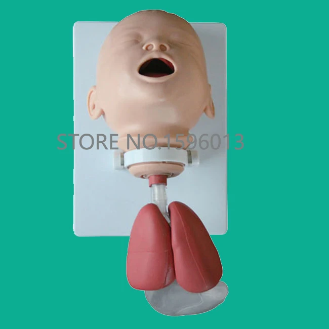 

Infant Intubation Training Head Model, Neonate/Newborn baby Intubation Trainer