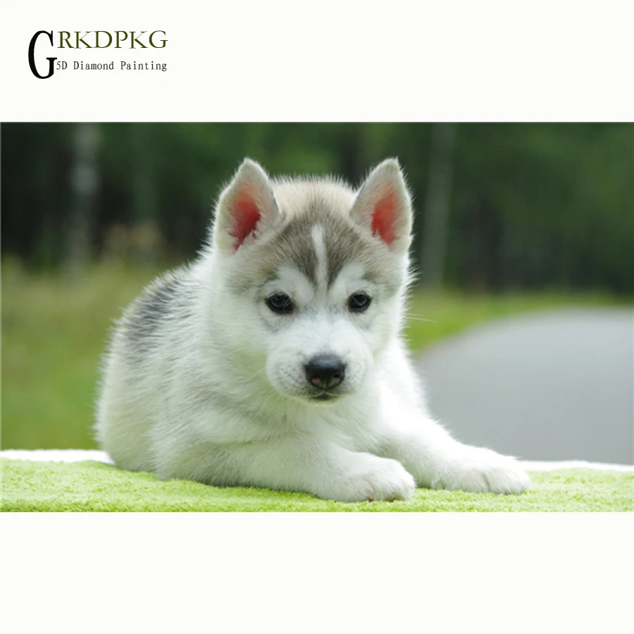 

dog,art,5d diamond embroidery DIY diamond painting cross stitch full square rhinestone mosaic,animal,unfinished home decoration