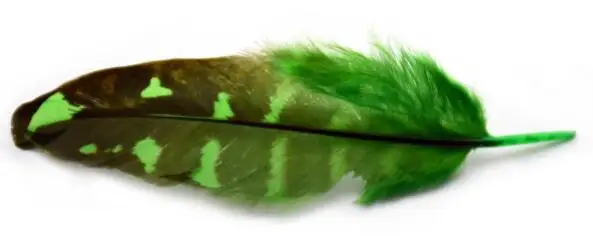 green Розничная, 24 шт./лот, окрашенные перья индейки, самодельные вечерние аксессуары, брошь, украшения для серег, индийский головной убор, свадебные украшения, IF69 - Цвет: green