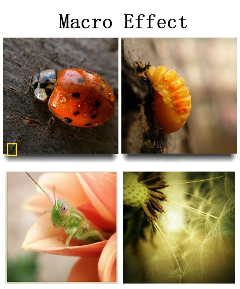 Аксессуары для телефонов кожаные сумки чехлы чехол объектива рыбий глаз Iphone 6 s 7