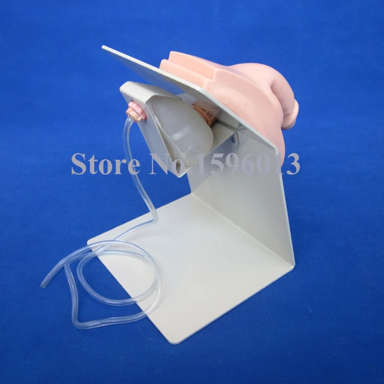 Лидер продаж мужской Катетеризация тренажер мочевого пузыря модель ухода |