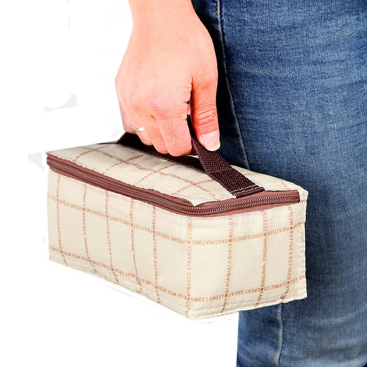 2L термальные маленькие сумки для пикника мини Ланч-бокс изолированный