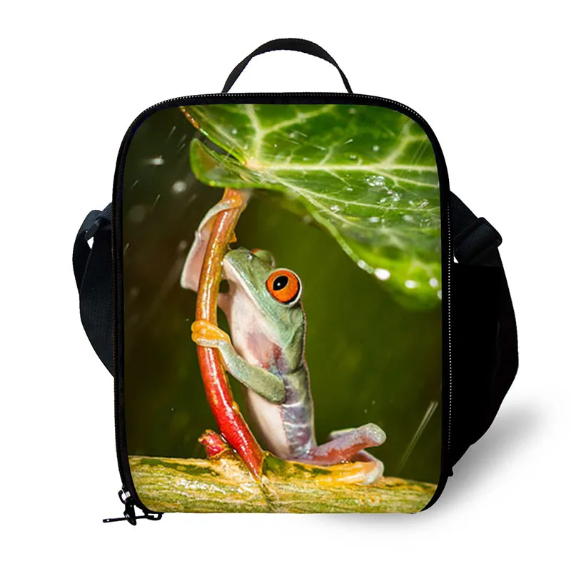 товары с печатью лягушки. товары с печатью лягушки. рюкзак для школы с лягушкой. рюкзак лягушка. портфель с лягушкой.