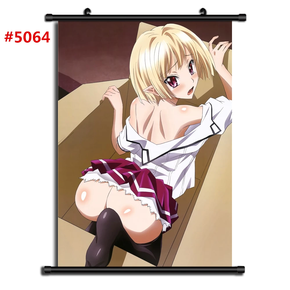 5064 Highschool DxD Аниме Манга настенный плакат свиток C - Цвет: 5064