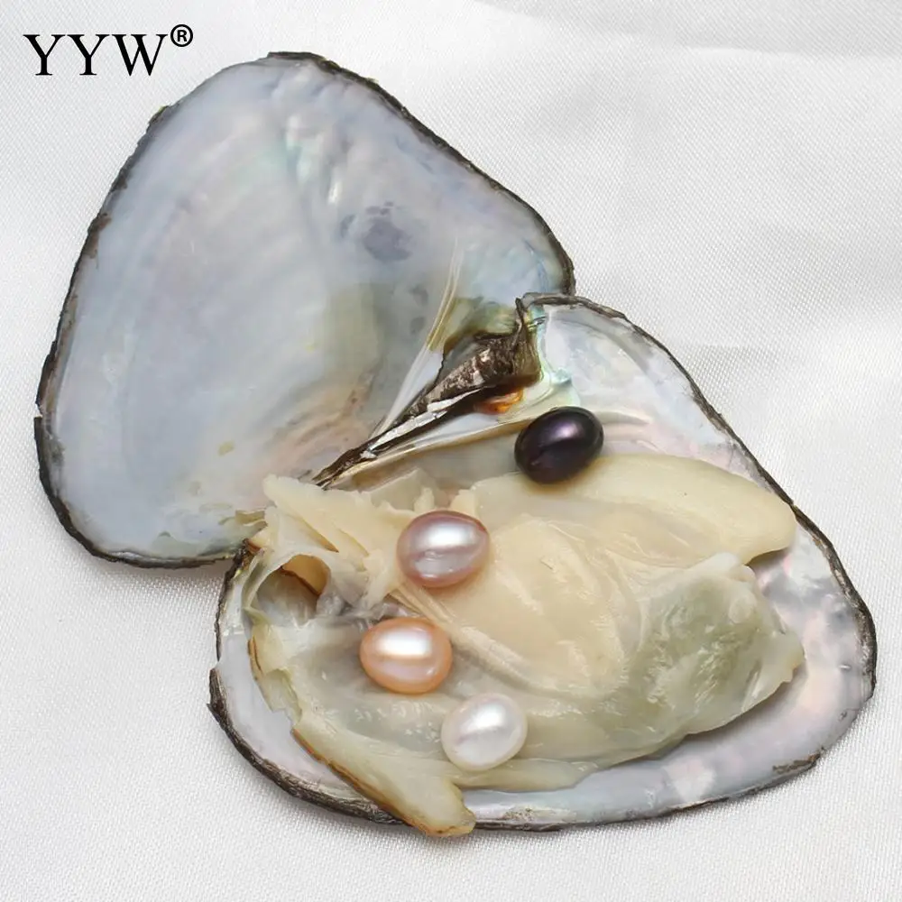 

5pcs/lot Vacuum-Packed 5-8mm Natural Pearl Freshwater Cultured Pearl Oyster Mixed Colors Pearl Beads DIY Lovers Birthday Gifts