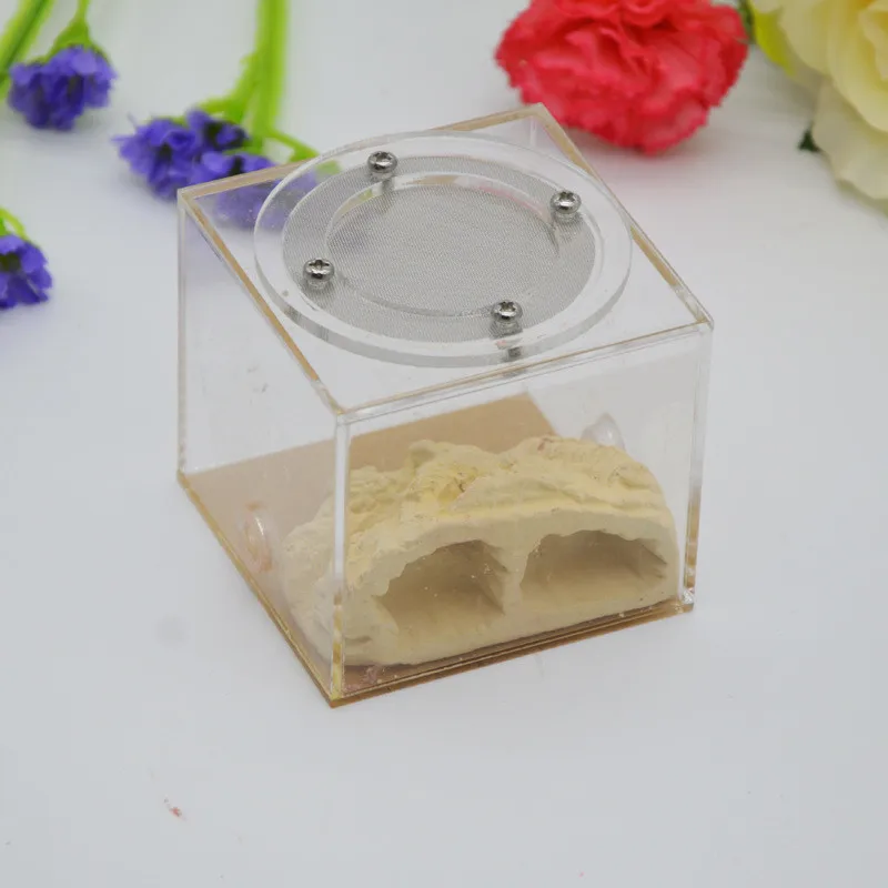 Имитация экологического муравьиного гнезда DIY штукатурка rockery acryl pet муравьиный замок муравьиная ферма насекомое муравьиные гнезда вилла
