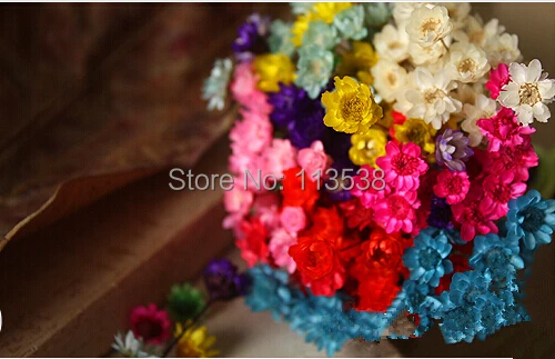 Цепочка с подвеской женская бижутерия в пляжном стиле изображением сухих цветов