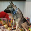 Изображение товара 5