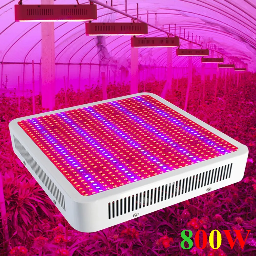 800W Full Spectrum LED Grow Light 800LEDs Panel Plant Lamp For Indoor Plants Growth Bloom Vegs Greenhouse Grow Tent Hydroponics