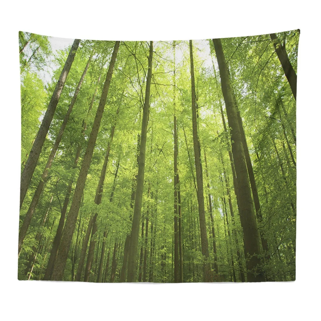 Naive лес гобелен настенный прекрасный природный Солнечный свет через дерево
