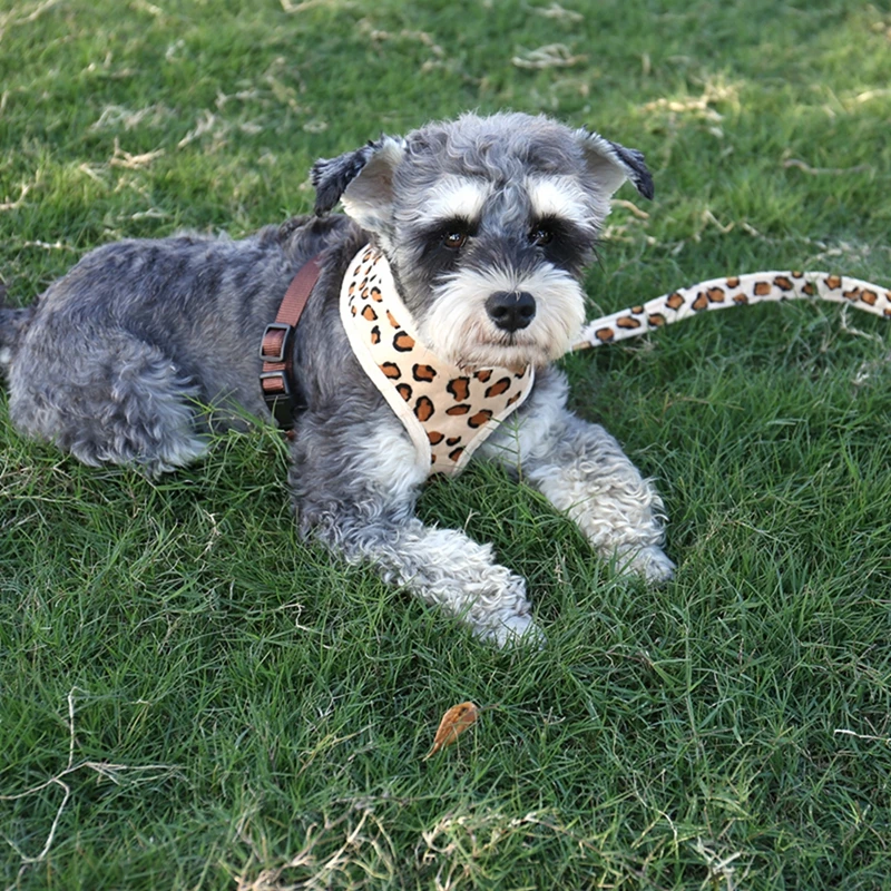 Шлейка и поводок для собак комплект из мягкого воздухопроницаемого жилета