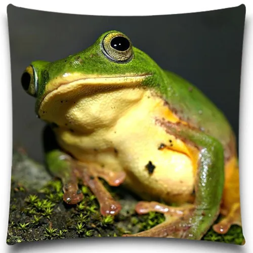 Квадратная наволочка для дивана Spider/Frog декоративная из хлопка/полиэстера | Дом и