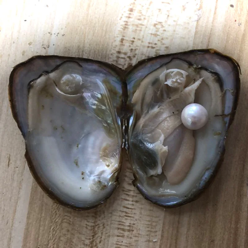 20pcs Single Acid Blue 9-10mm Near Round Edison Pearl with Vacuum Packed Oyster Fresh Pearl in Oyster