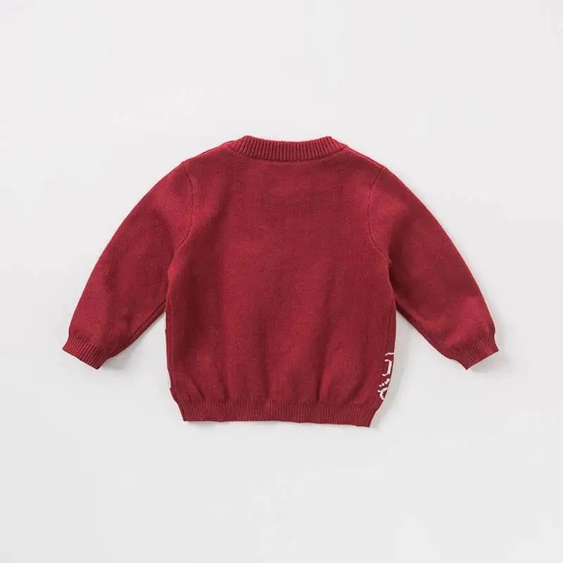 DB8843 dave bella/осенний трикотажный свитер для маленьких мальчиков с длинными