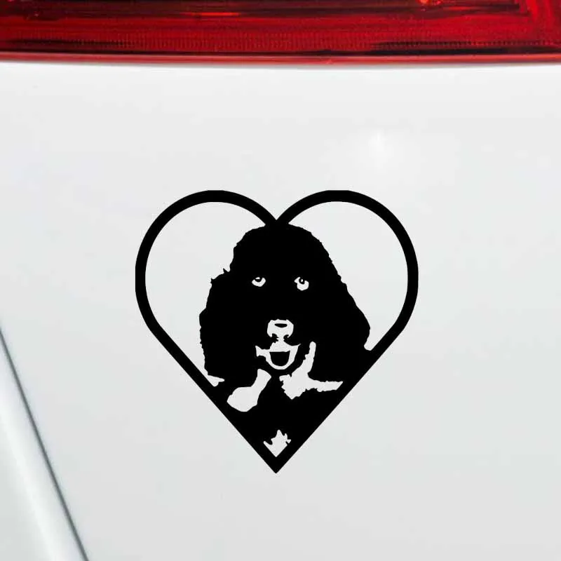

YJZT 15CM*15CM Car Bumper Window Decoration Vinyl Sticker Black/Silver C2-3254