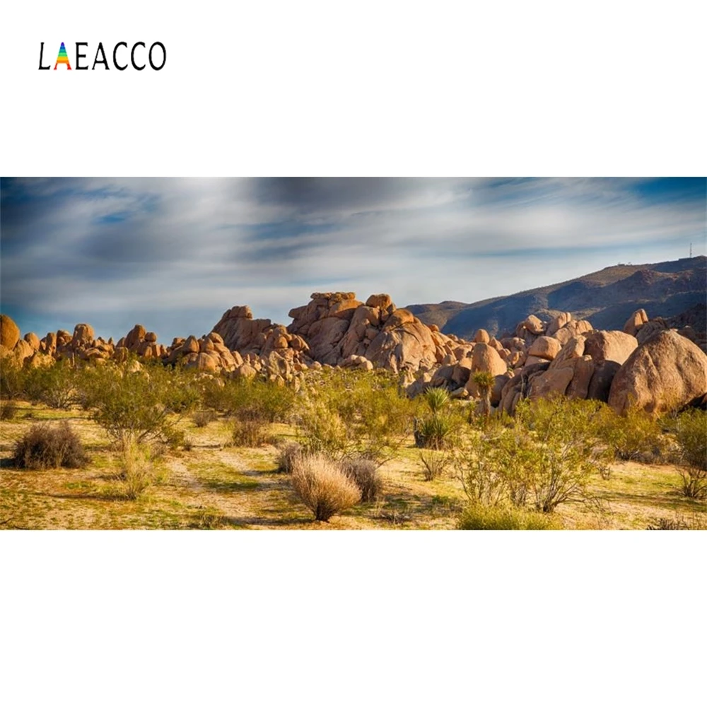 Laeacco фоновая фотография на заднем фоне с растениями пустыни кактуса | Электроника