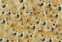 doge god annoying dog puzzle 1000 pieces of wood of adult heart disease mental funeral spree pollution erhu eggs