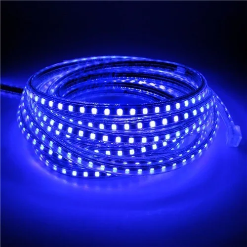 BSOD Светодиодная лента AC220V 60 светодиодный s/m SMD5050 светодиодный светильник водонепроницаемый 5 м 10 м 20 м 25 м наружный светильник для сада - Испускаемый цвет: Синий