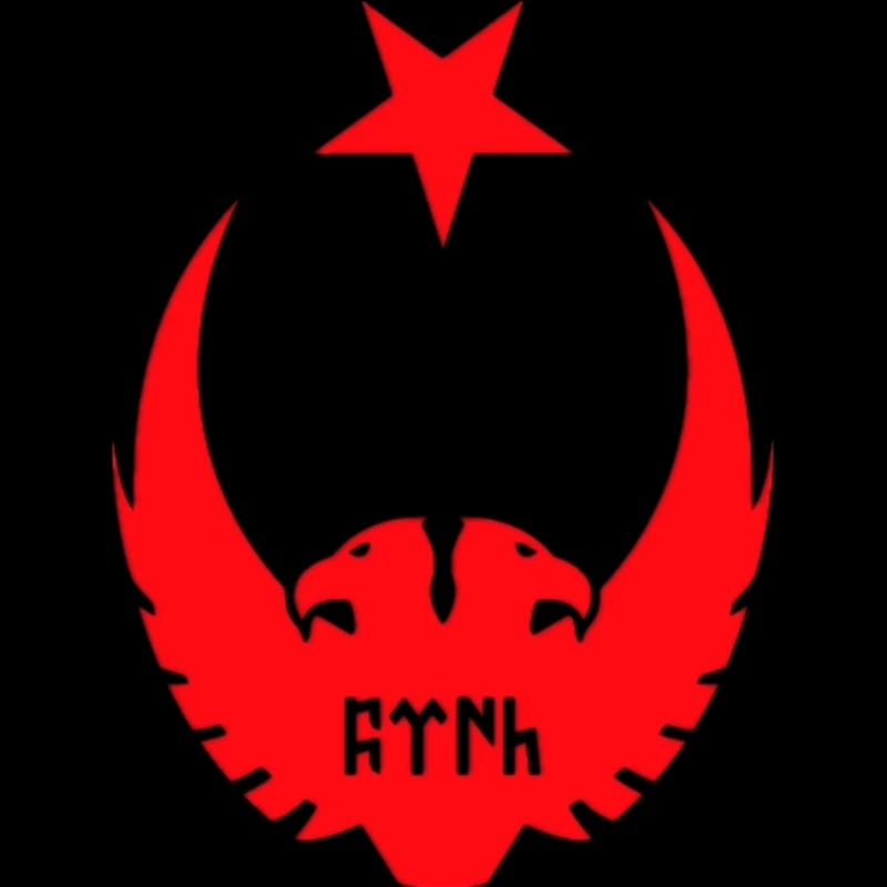 

Three Ratels TZ-876 17.4*13cm 1-4 Pieces Car Sticker Double Headed Eagle Moon Star Ottoman Empire Turk Turkey Sticker