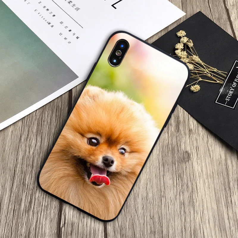 Чехол для собак Pomeranian, мягкий силиконовый черный телефон чехол для iPhone 6 6 plus 7 8 plus 5 5S 5C SE X XS XR XS Max - Цвет: H19032303-07.jpg