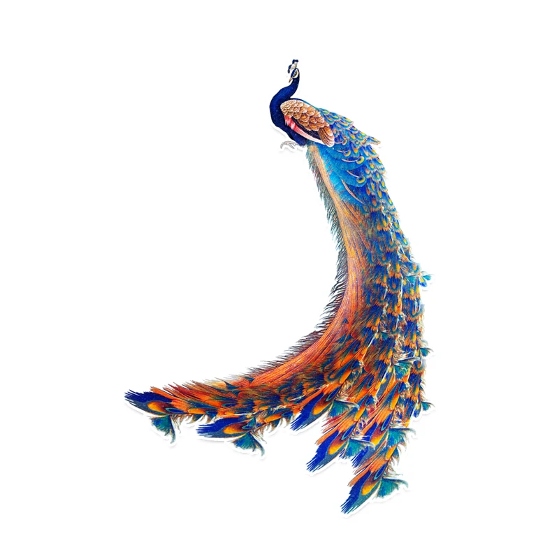 YJZT 10.5*15.1CM Peacock Decor Car Modelling Sticker Graphic Accessories 11A0009 | Автомобили и мотоциклы