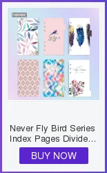 Серия Never Fly Bird, подарочные канцелярские наборы, скрепки, скрепки, липкие ручки для заметок, Подарочная коробка, посылка для учителя, школьные принадлежности