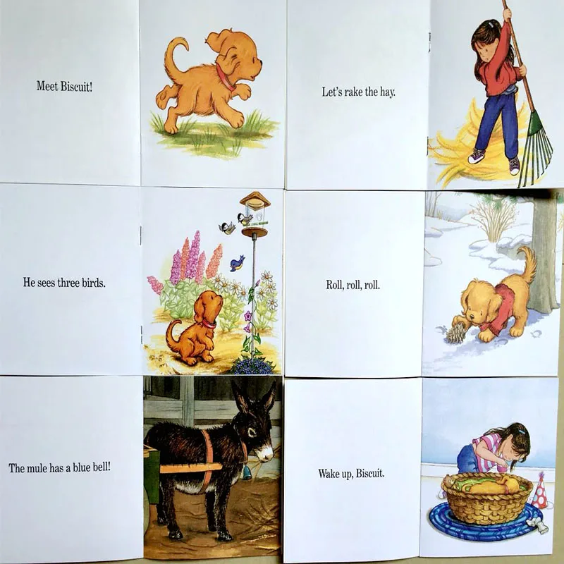 Книга с текстом на английском языке 24 книги/набор| |