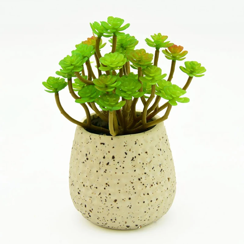 Зеленые цветы пластиковые искусственные суккуленты объемные стебли для продажи