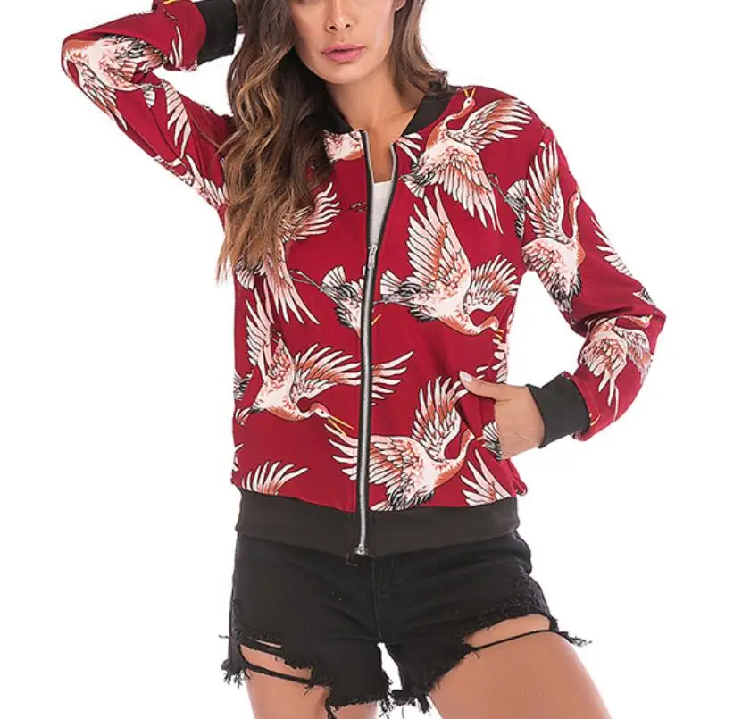Фото Разноцветная Женская куртка большого размера 2018 повседневная бейсбольная Разноцветная Женская куртка большого размера 2018 повседневная бейсбольная