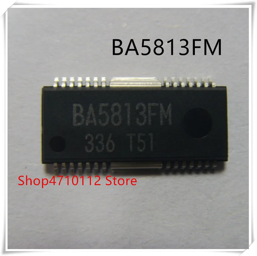 

NEW 10PCS/LOT BA5813FM BA5813 HSOP-28 IC