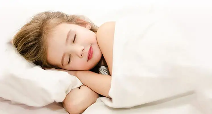 Робот пылесос 2 для дома автоматический уборки пыли стерилизовать приложение