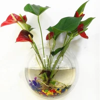 acrylic ecology hanging wall mount fish tank bowl vase aquarium plant decor pot home decoration