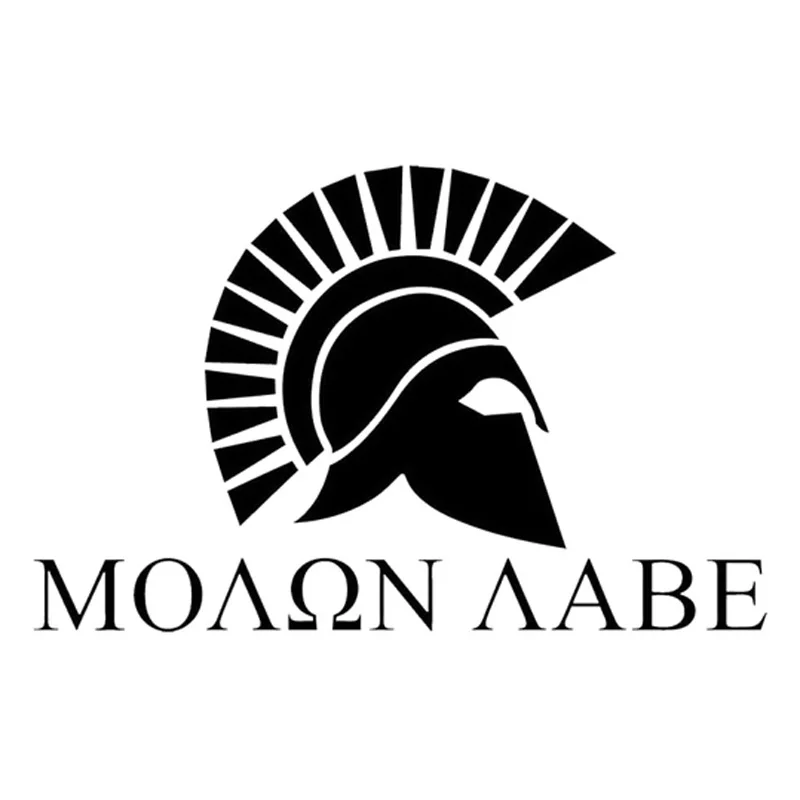 

Наклейка на шлем, 15 см х 9,6 см, черный/серебристый, S3-4761