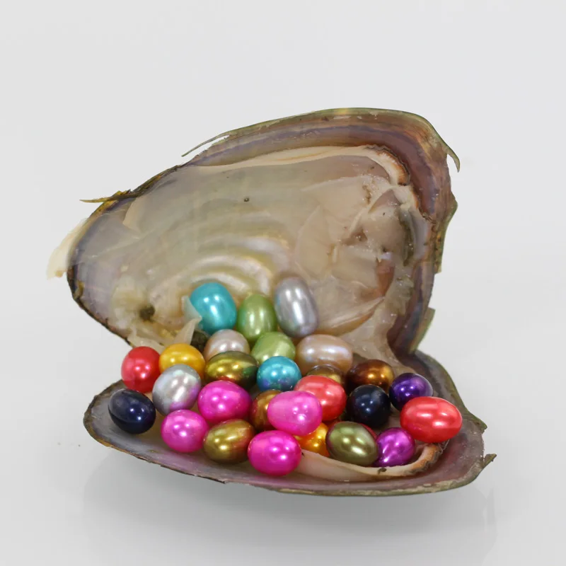 Муссельная раковина пресноводные жемчужины Oyster Wish 20 видов цветов 7 8 мм одна