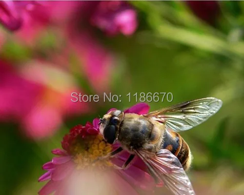 Бесплатная доставка 67 мм фильтр + 1 2 4 10 для Canon EOS 5D II III 5D2 5D3 7D 6D 60D 700D 650D 600D 550D 350D 1100D