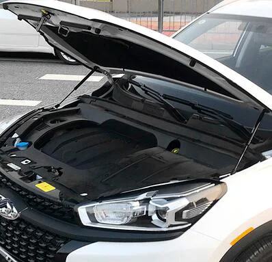 Arrizo 8 Для Chery Bonus E3 A3 GX Arrizo 3 5 7- автомобильный Стайлинг передний капот модифицировать газовые стойки Лифт поддержка амортизатор - Цвет: Arrizo 8