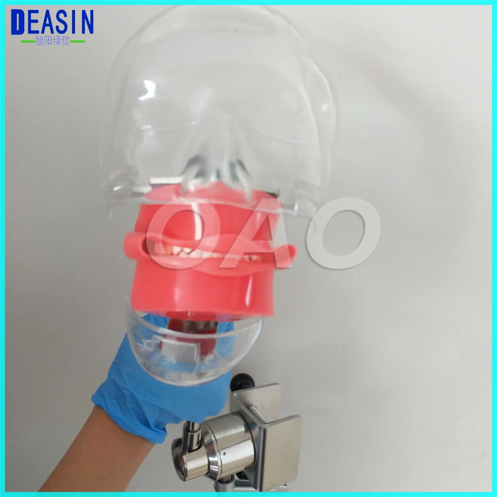 Простая Стоматологическая модель головы для имитации ротовой полости