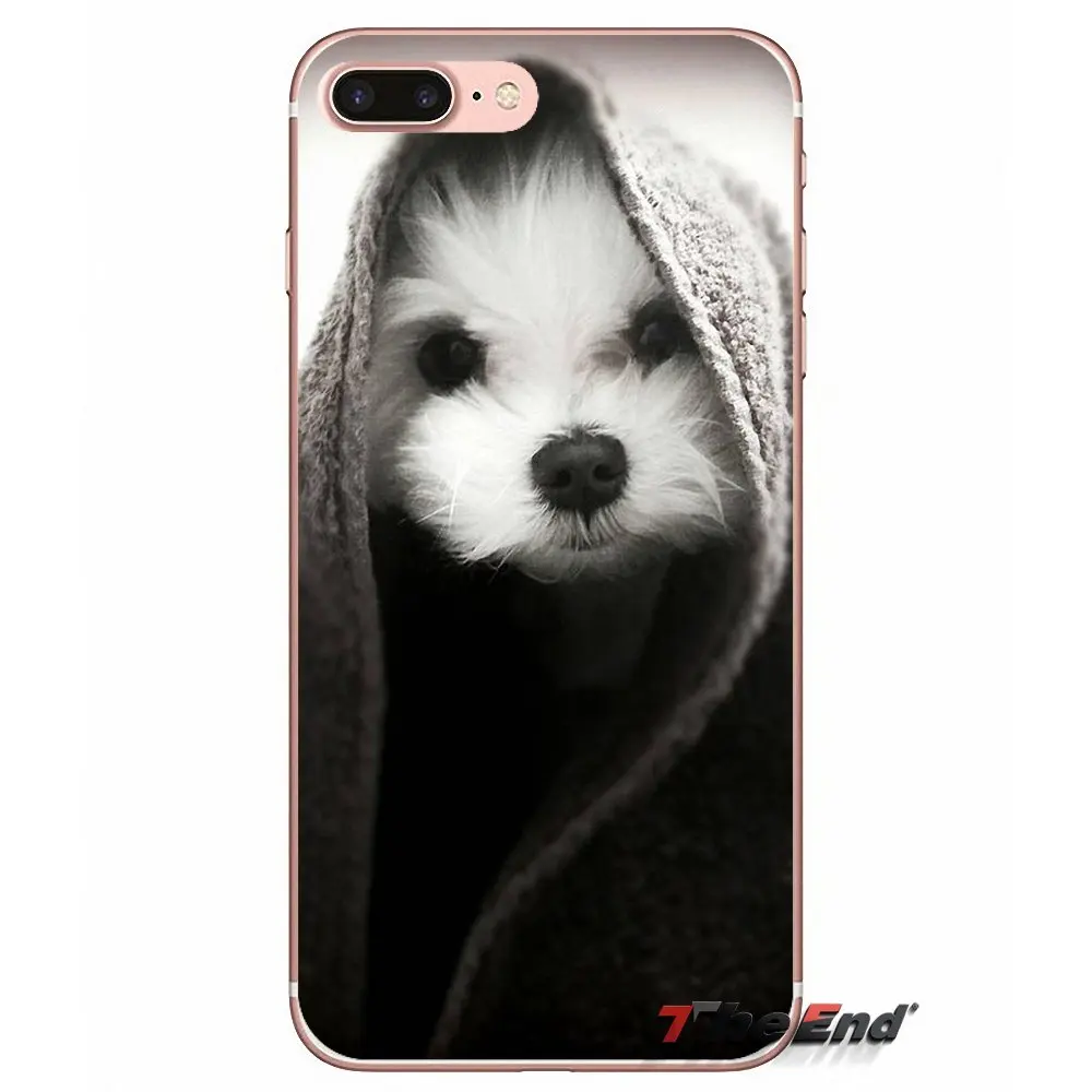 Для Samsung Galaxy J1 J2 J3 J5 J7 A3 A5 A7 2015 2016 2017 J530 J730 Fundas Coque I Love My Maltese dog puppies силиконовый чехол |