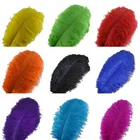 Перья страусиные, 30-35 см12-14 дюймов, 10 шт.лот