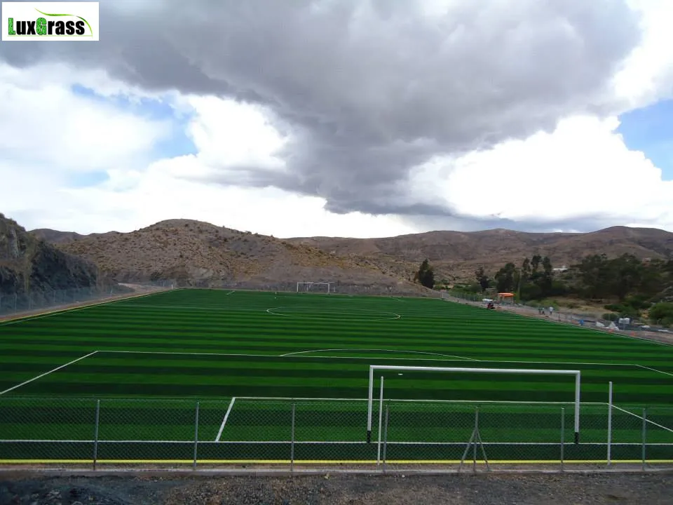 10 лет гарантии голландский импортный синтетический травяной ковер thilon для