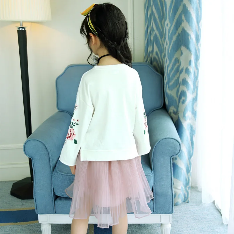 Детская одежда 2017 г. осенний костюм с юбкой розового цвета вышивкой и длинными