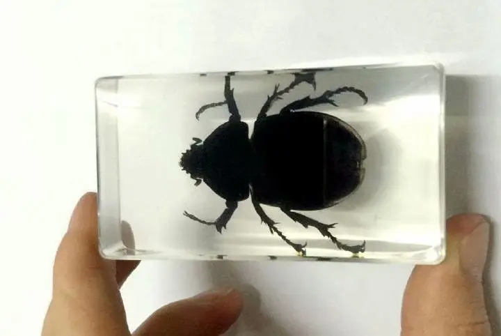 Распродажа Творческий MO 15 Модные образец книги инструмент подарок для украшения