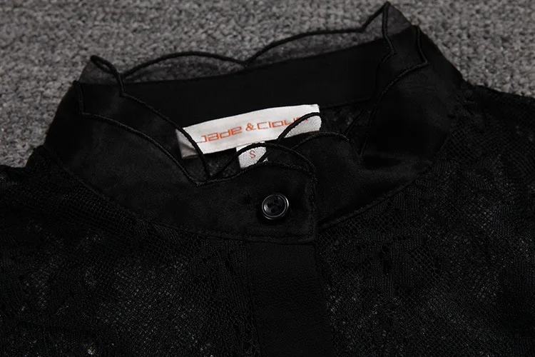 Весна 2016 новая одежда в Европе и шелковые рубашки с длинным рукавом 44|spring 2016|long