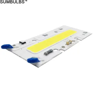 Sumbulbs AC 110V 220V COB светодиодный смарт-микросхема 150W 100 Вт 70 Вт 50 Вт 30 Вт светодиодные лампы светильник источник теплый холодный белый для потолочные светильник