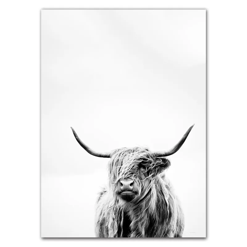 Black White Animals Art Canvas Painting Prints Yak Poster Wall Picture For Living Room Modern Home Decor Unframed YX035 | Дом и сад