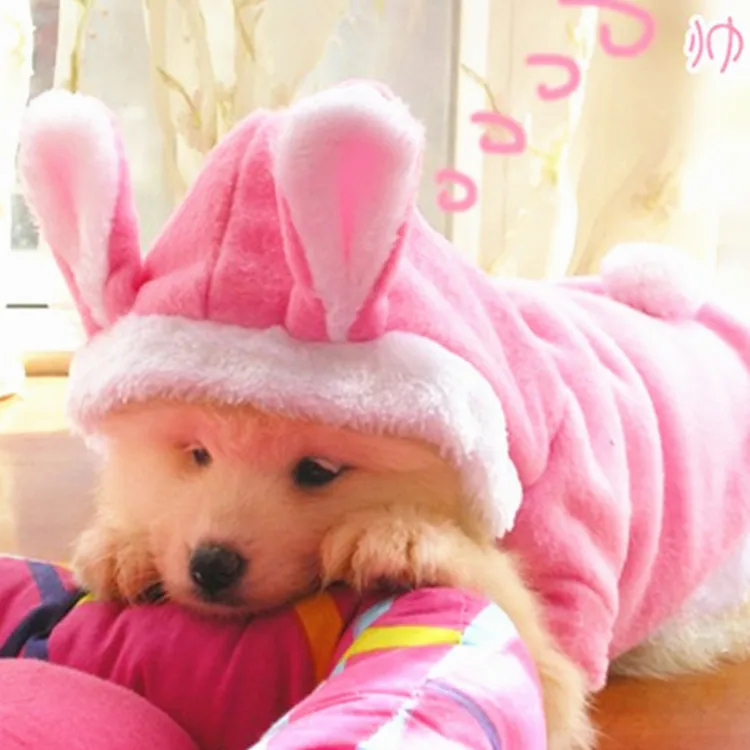 

2020 autumn winter warm lovely rabbit clothes cute pet fleece thick coat dog cat hoodie dogs PT007