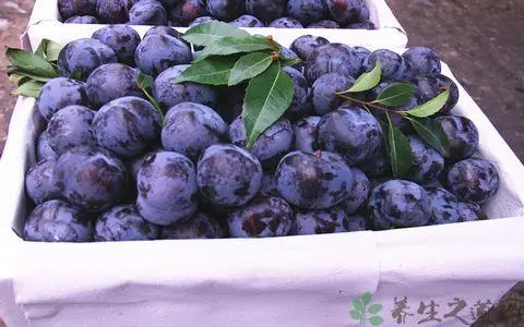 4 уровня Нержавеющая сталь оливок машина для сортировки по Размеры/сортировщик