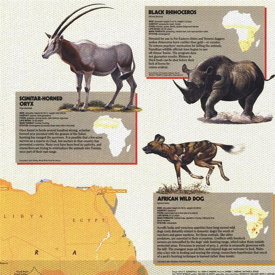 National Geographic Africa ретро Картина на холсте винтажный принт плакат настенная наклейка