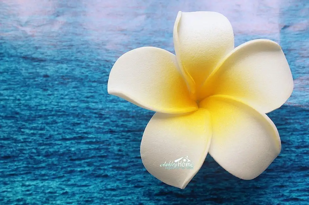 Желтая французская Плюмерия цветок ПВХ пена 3D магнит на холодильник|craft stock|craft